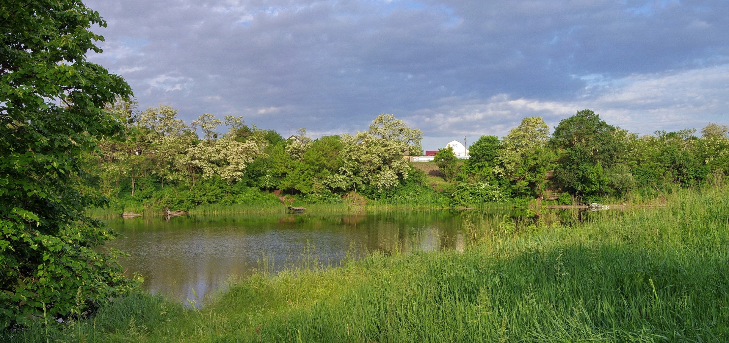 Пора акації.