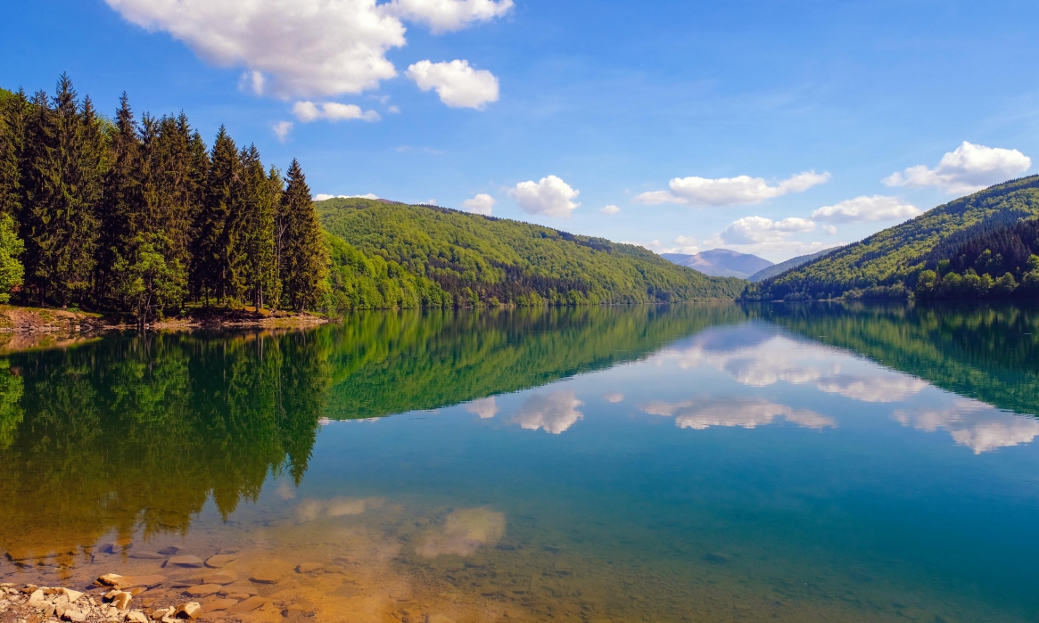 Украина, Закарпатье, утро на Ольшанском водохранилище украина, ольшанское водохранилище, закарпатье