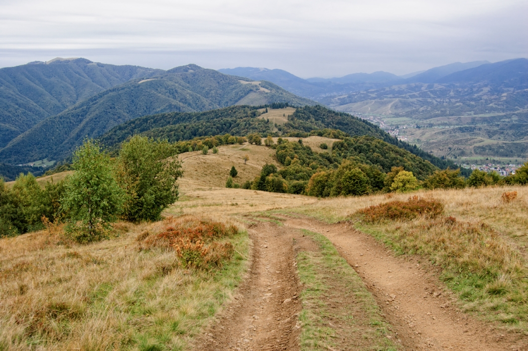 В окрестностях Колочавы горы, дорога, карпаты