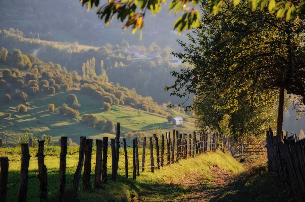 Вечерний свет в закарпатском селе карпаты, село