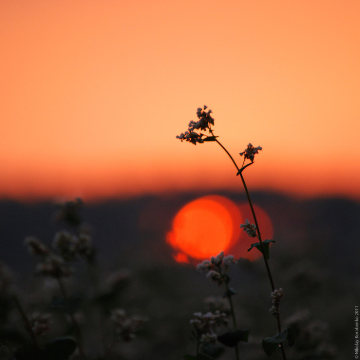 Time of the setting sun