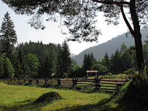 carpathian view