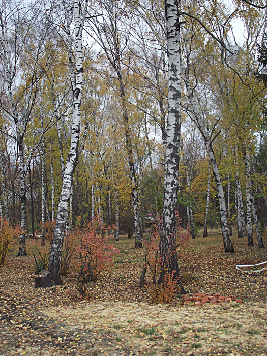 осень
