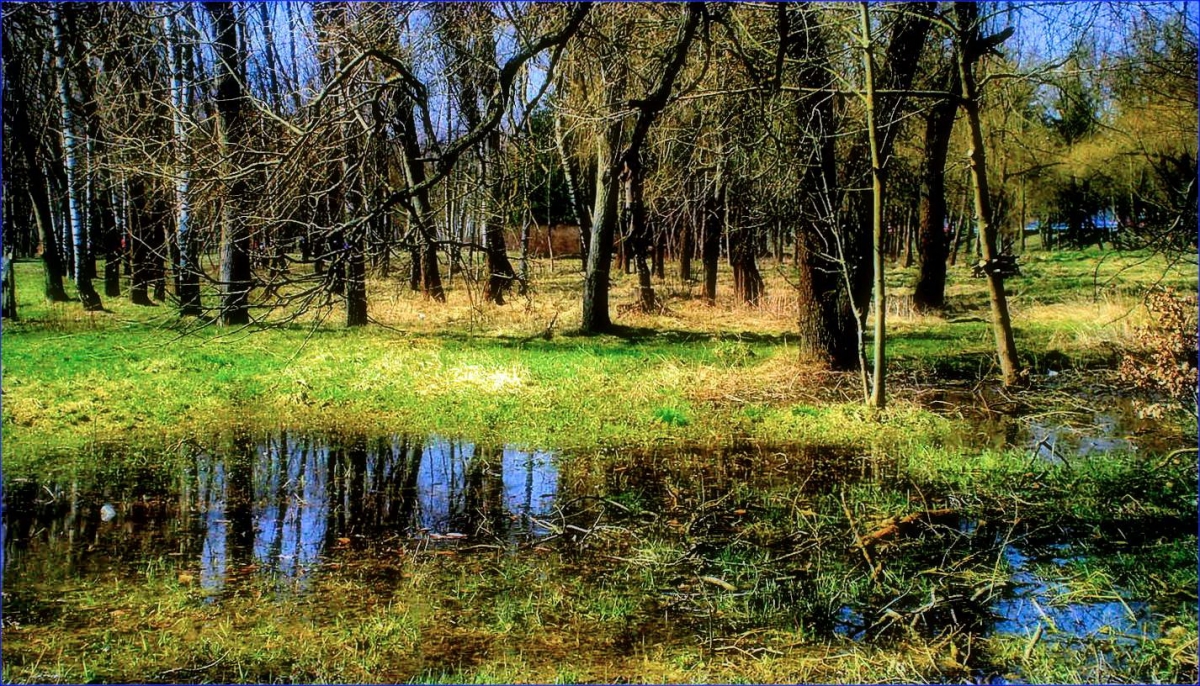 Розлились накруги весняні води...