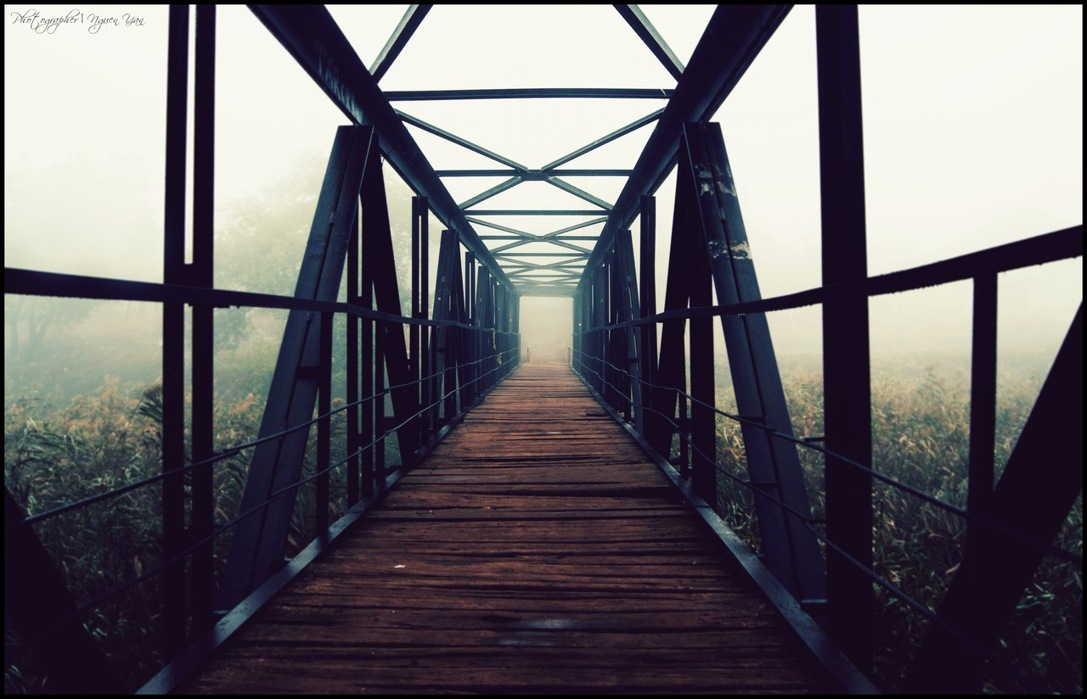 ... foggy bridge | мост, fog, туан