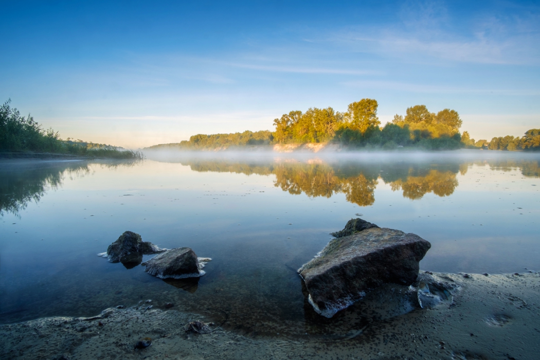 Утренний туман над водой