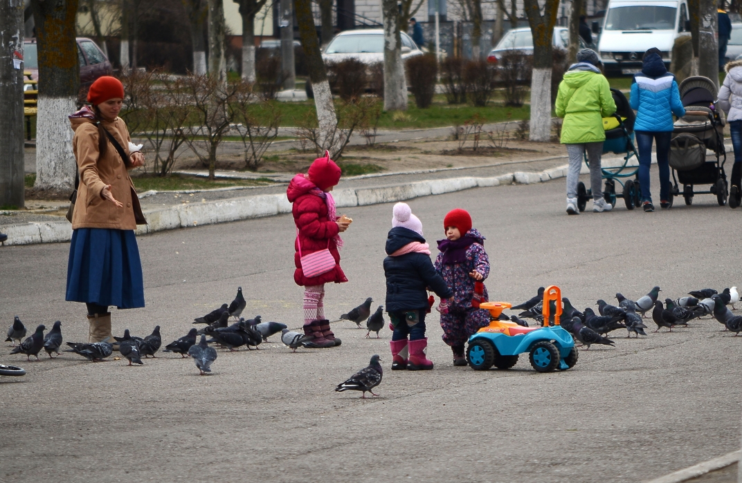 ...Дети и голуби.
