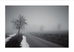 Windmillis in the fog