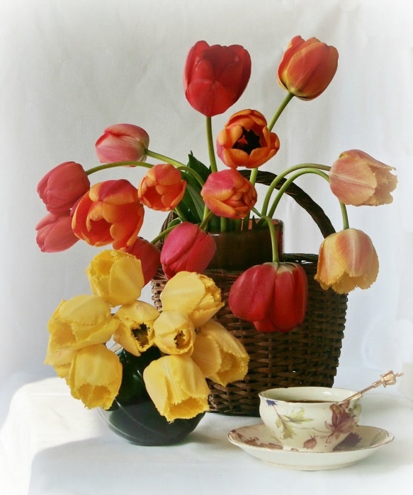 Утро чашка, цветы, тюльпаны, корзинка, ваза