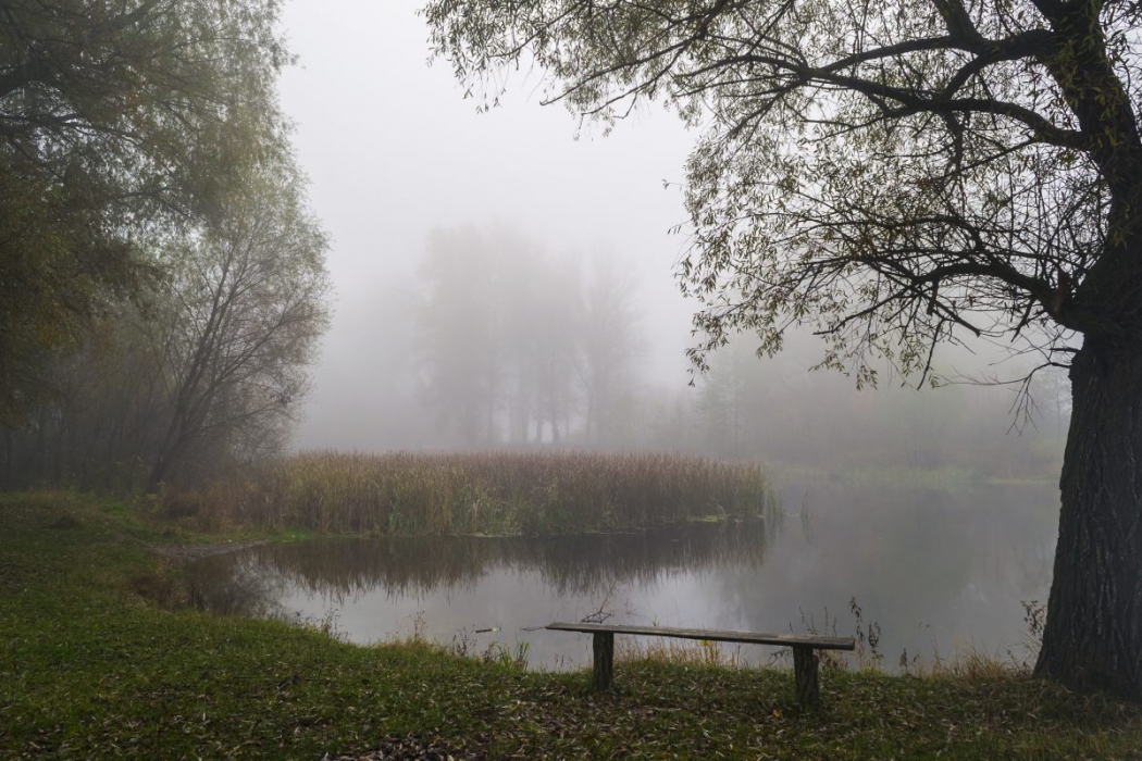 Осеннее состояние украина, лавочка, красота, дерево, осень, пейзаж, октябрь, река, река псел, туманное утро