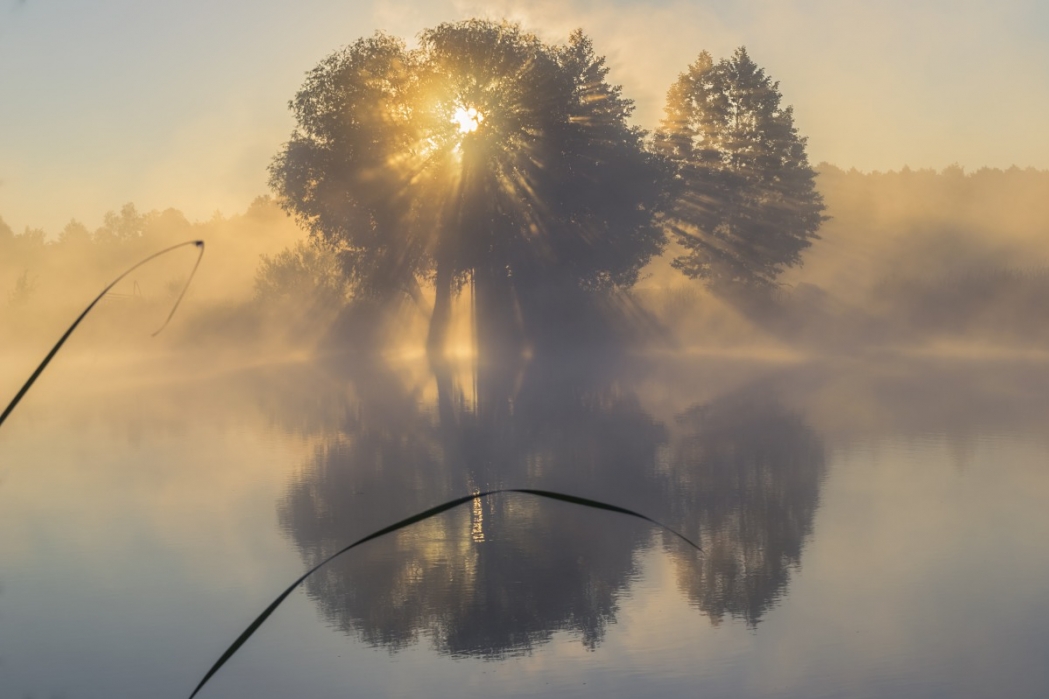 Яркость красота, берег, свет, реки, река, псел, природа, пейзажи, пейзаж, лето