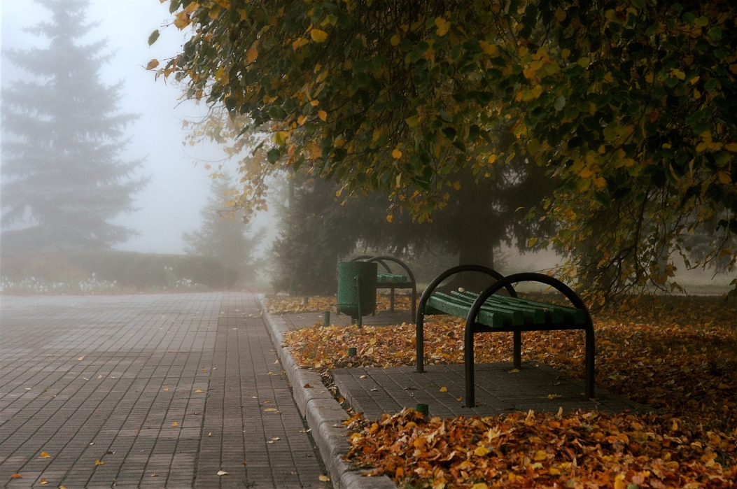 Миргород. Осеннее утро.