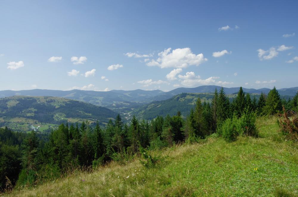Карпати. Гуцульщина. На Брусному хребті.