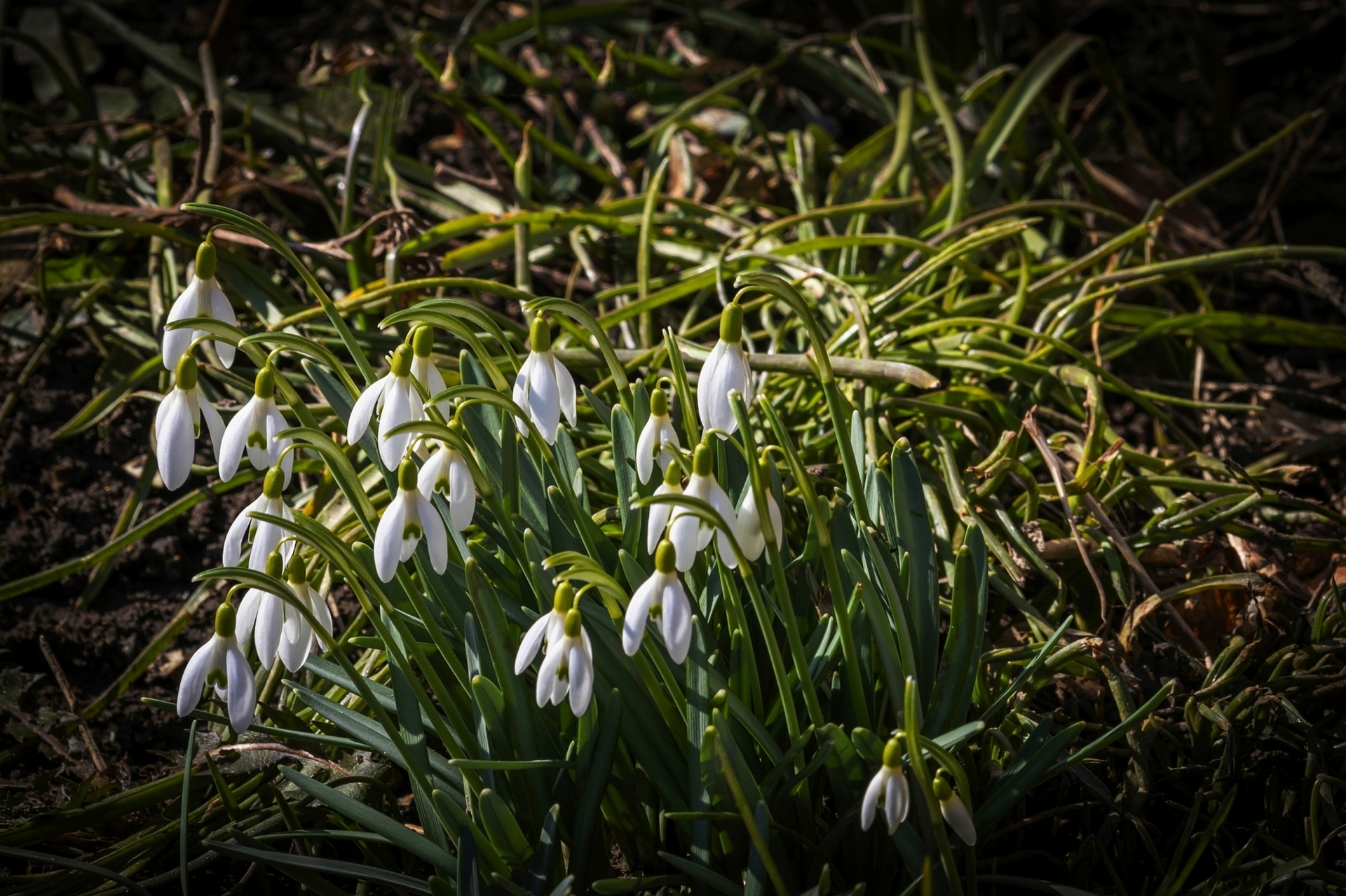 народні прикмети 16 вересня осіння погода