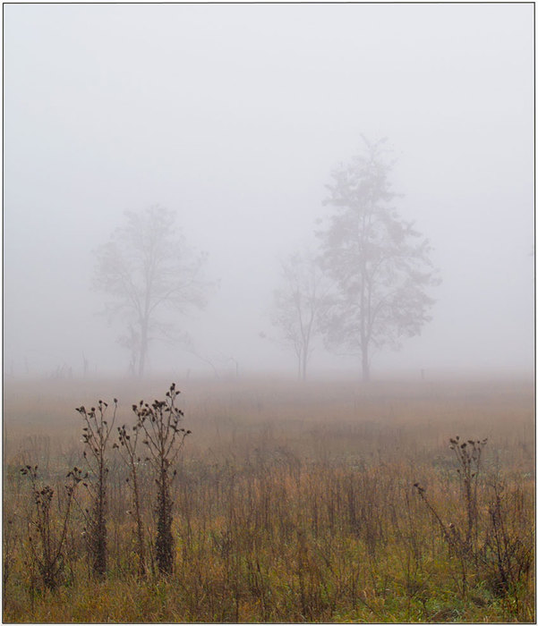 Пелена это. Пелена тумана. Седой туман. Жизнь туман. Степной туман.