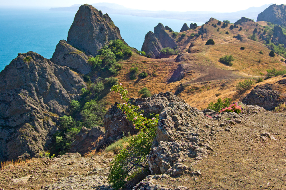 Заповедники крыма картинка