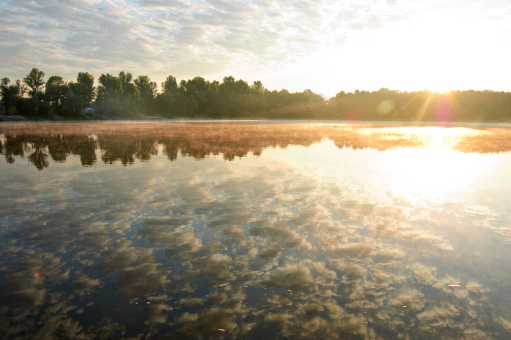 Погода в подстепном алтайский край. Подстепное Алтайский край. Село Подстепное Ребрихинский район. Озеро Подстепное Алтайский край. Подстепное Алтайский край Ребрихинский.