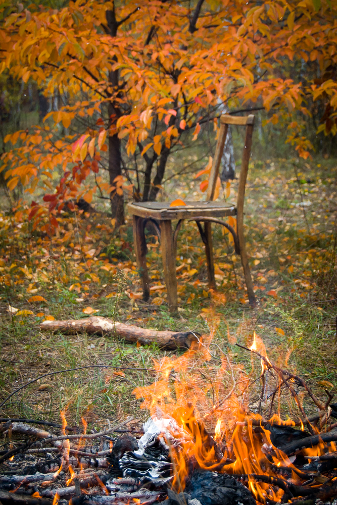 Костер в осеннем лесу