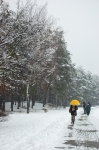 autumn 2