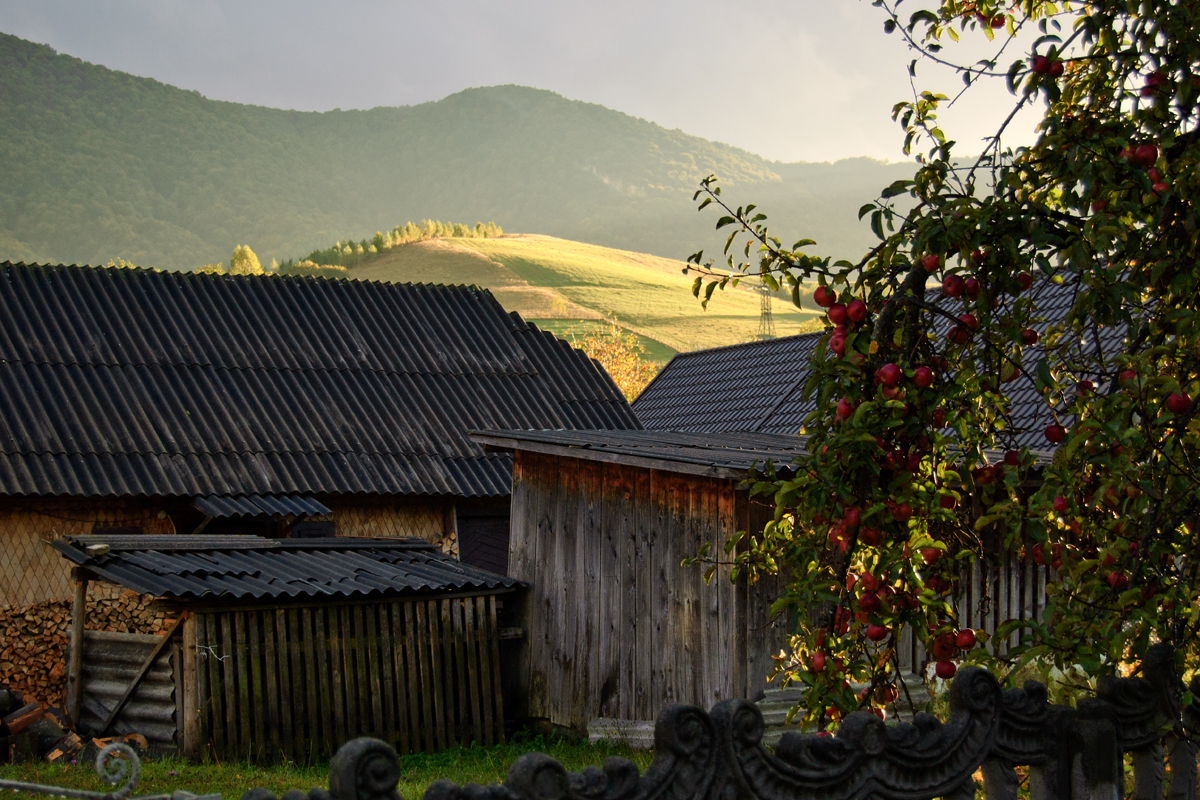 Свет в горах горы, карпаты