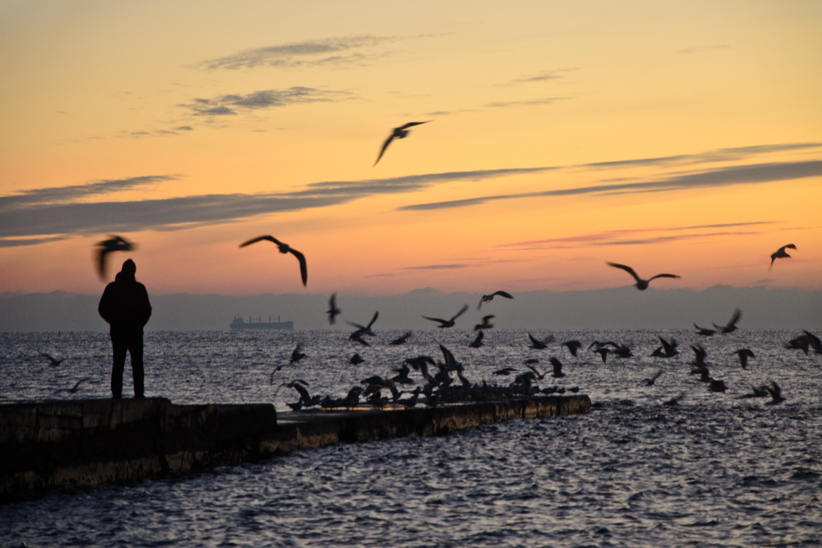 Одесское предрассветное море, пирс, утро, чайки