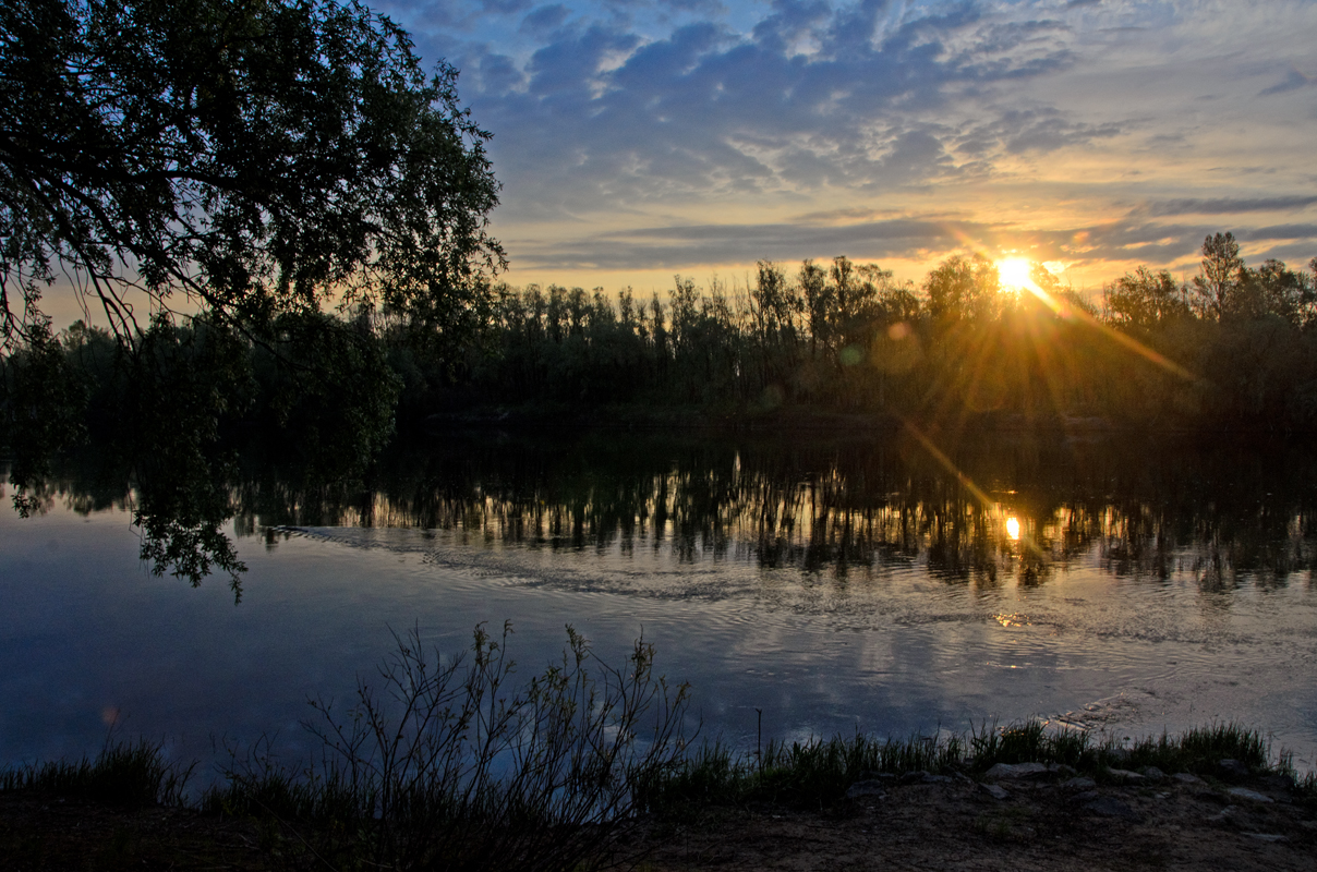 Десна рассветная река, солнце, утро