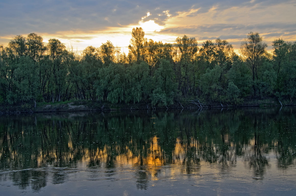 Отражение рассвета река, утро