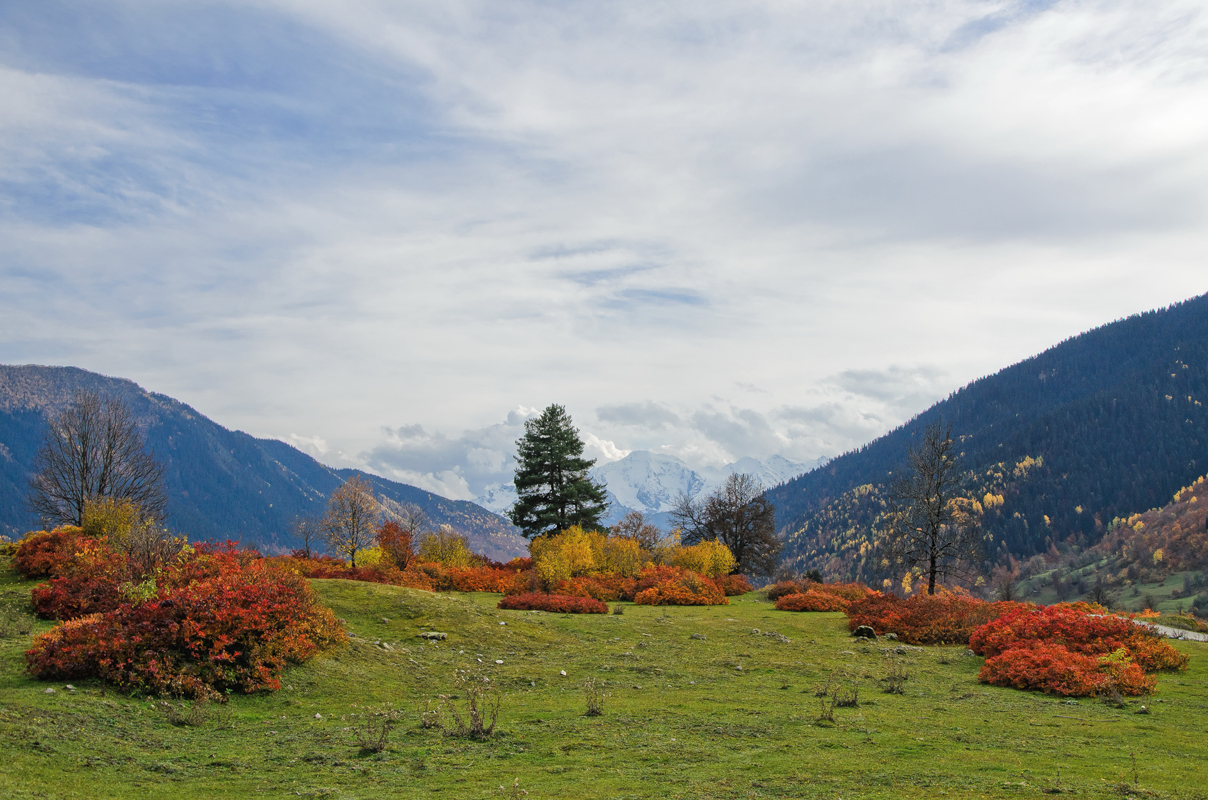 горы, грузия, осень