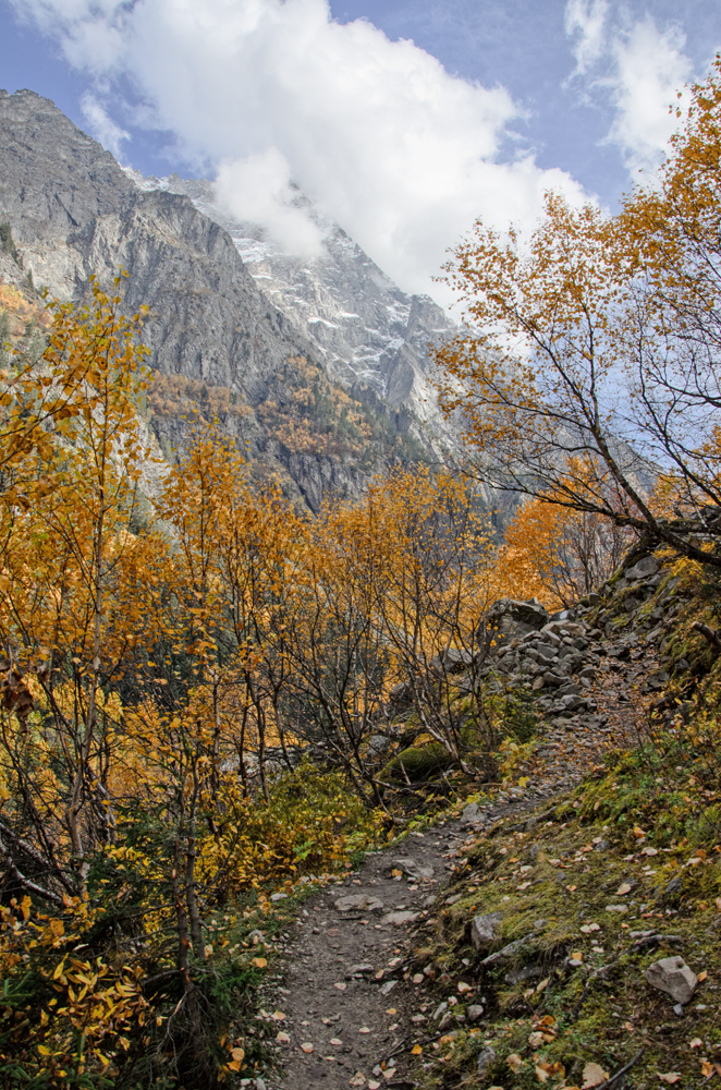 Горная тропа в осенних берёзках горы, грузия, осень