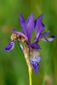 �� ��������...