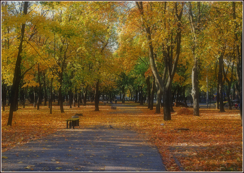 Осенние аллеи природа, город, осень, пейзаж