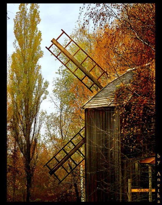 осенние мотивы