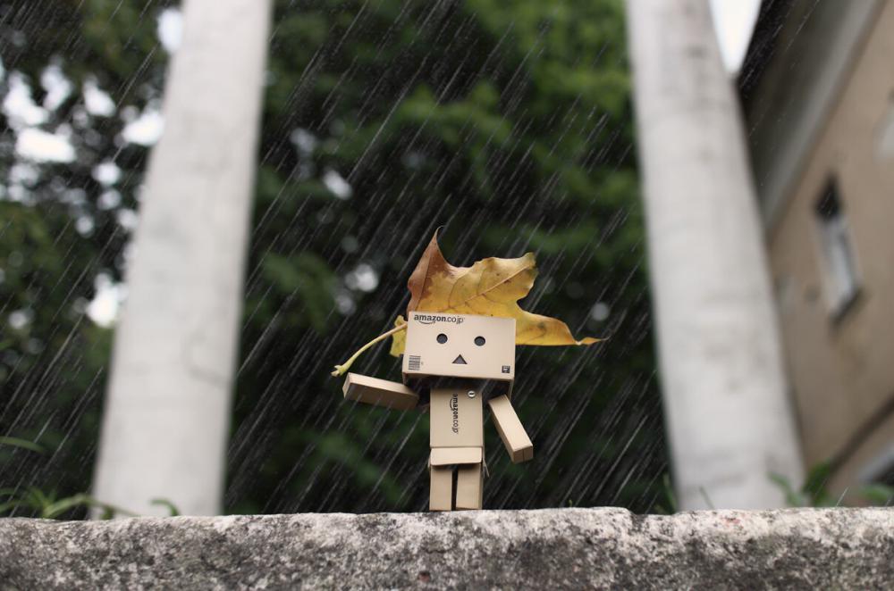 Danbo