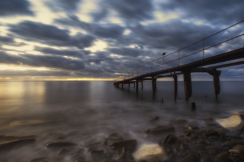 How gull meets Dawn
