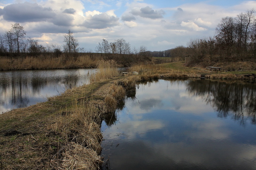 Между небом и водой