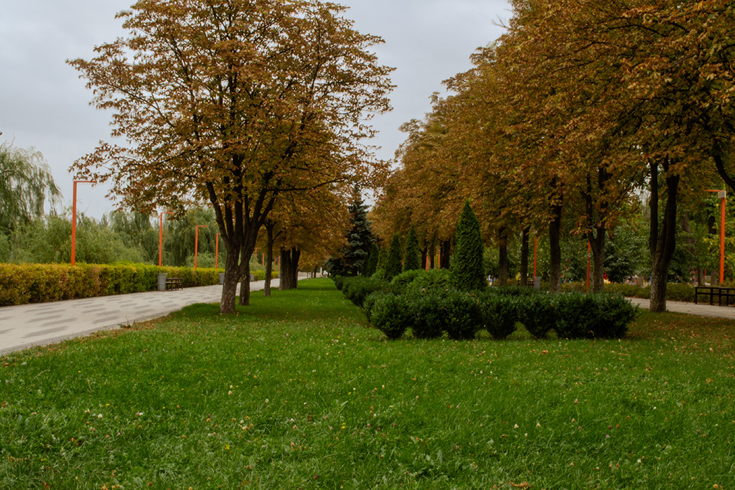 Парк.Вересень алея, парк, покровськ