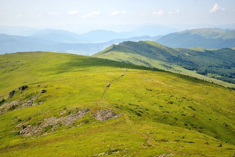 Пікуй