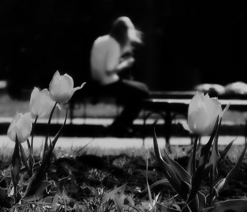 Sur le Langage des Fleurs