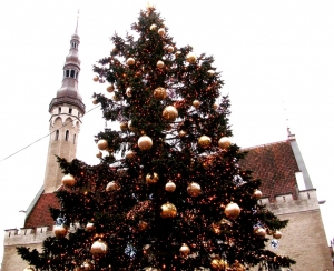 A festive Christmas tree against the backdrop of the ancient town hall