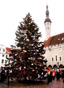 Christmas tree on the square in front of the town hall