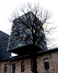 Tree with stars