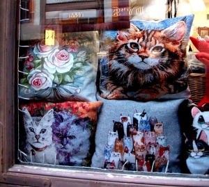 Cats