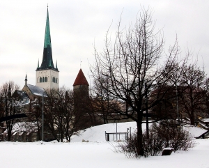 View of the memorial oak tree dedicated to T.G. Shevchenko