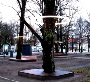 Lanterns on the trees