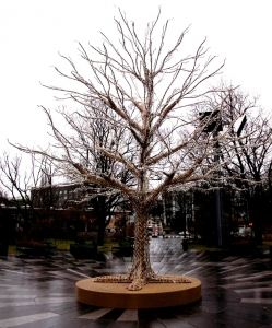 The Magic tree in Tammsaare park