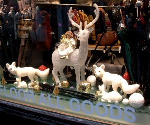 Window to the store
