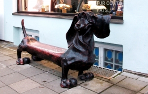 Dachshund