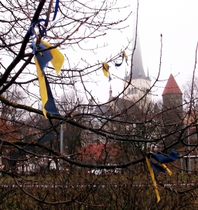 A view from the Shevchenko memorial oak towards St. Olaf's church