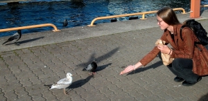 Girl and birds