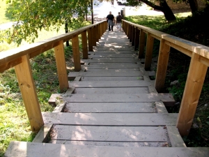 Steps of life